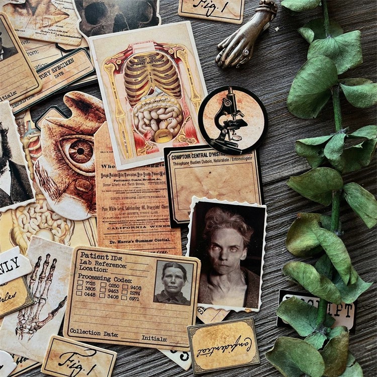 Bricolage Scrapbooking Vintage - Vintage Collectible Dolls avis et prix