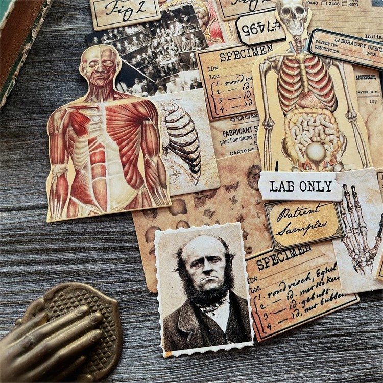 Bricolage Scrapbooking Vintage - Vintage Collectible Dolls avis et prix