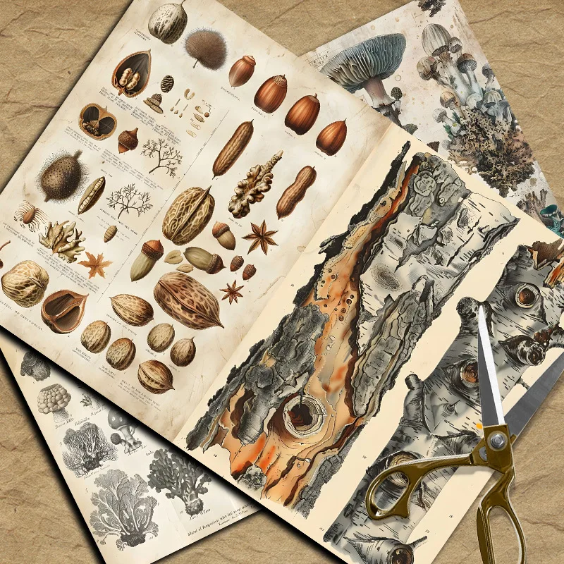 Papiers de matériel vintage po - Vintage Things Collection avis et prix